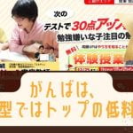 家庭教師ガンバって中学受験向け？口コミや評判、料金まとめ！