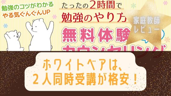 家庭教師ホワイトベアはオンラインがお得！兄弟割引も見逃すな！