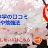 青稜中学の評判や口コミ！過去問の傾向と対策、学費を網羅！