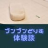 ブンブンどりむは、中学受験向け？口コミや国語作文への効果を紹介！