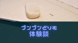 ブンブンどりむは、中学受験向け？口コミや国語作文への効果を紹介！