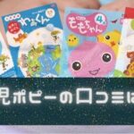幼児ポピー ポピっこの口コミレビュー！お受験、中学受験に役立つのか？
