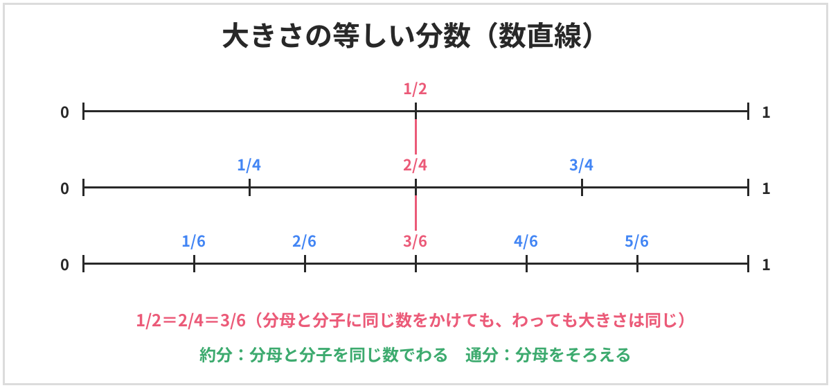 大きさの等しい分数の数直線。2等分、4等分、6等分した数直線で、1/2、2/4、3/6が同じ位置にある。分母と分子に同じ数をかけても、わっても大きさは同じ。約分は分母と分子を同じ数でわること、通分は分母をそろえること