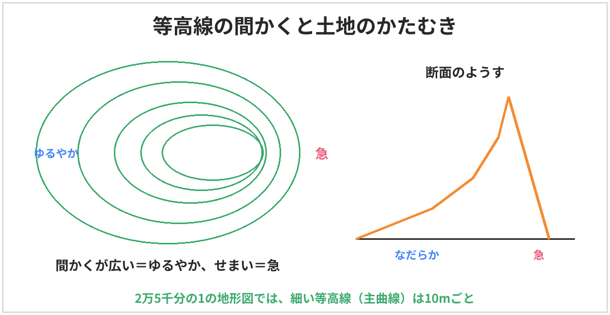 等高線の間かくと土地のかたむきの図。等高線の間かくが広いところは土地のかたむきがゆるやかで、せまいところは急になる。断面図でも、間かくが広い側はなだらかで、せまい側は急。2万5千分の1の地形図では細い等高線（主曲線）は10mごと