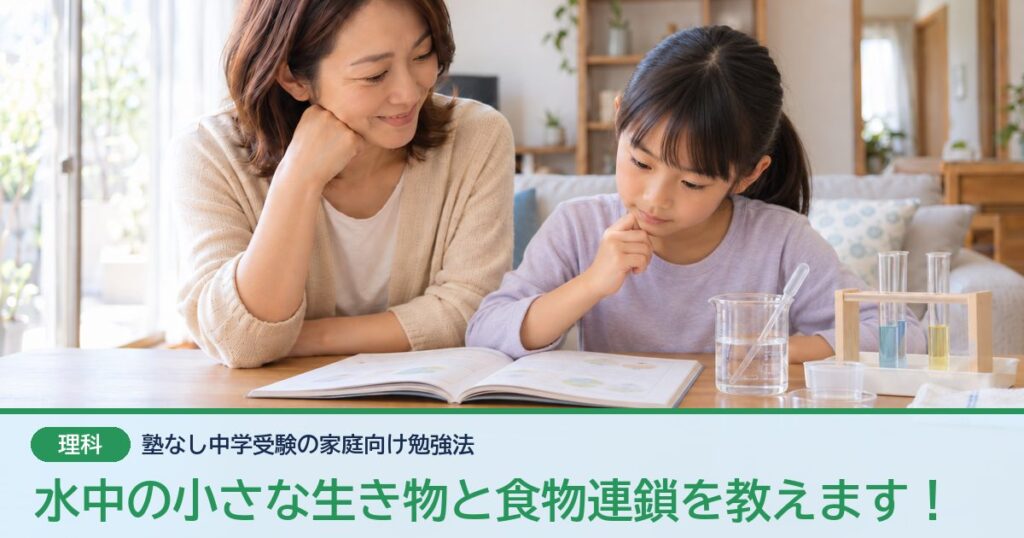 水中の小さな生き物と食物連鎖を教えます！