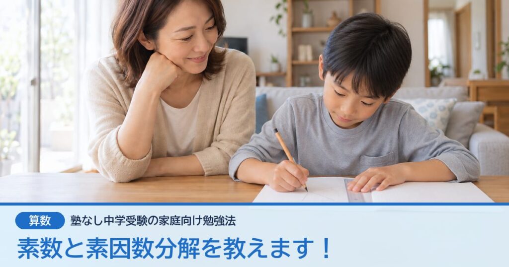 素数と素因数分解を教えます！