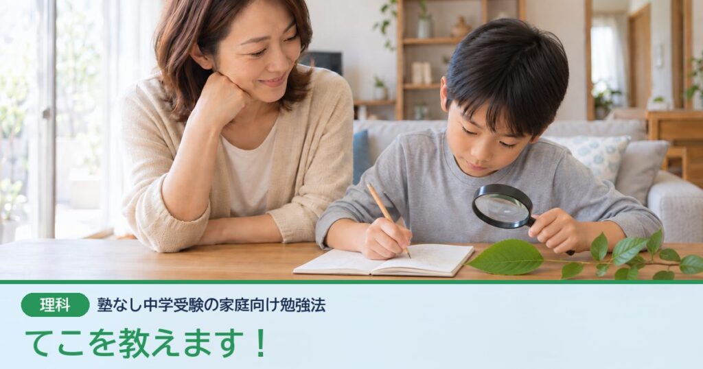 てこを教えます！