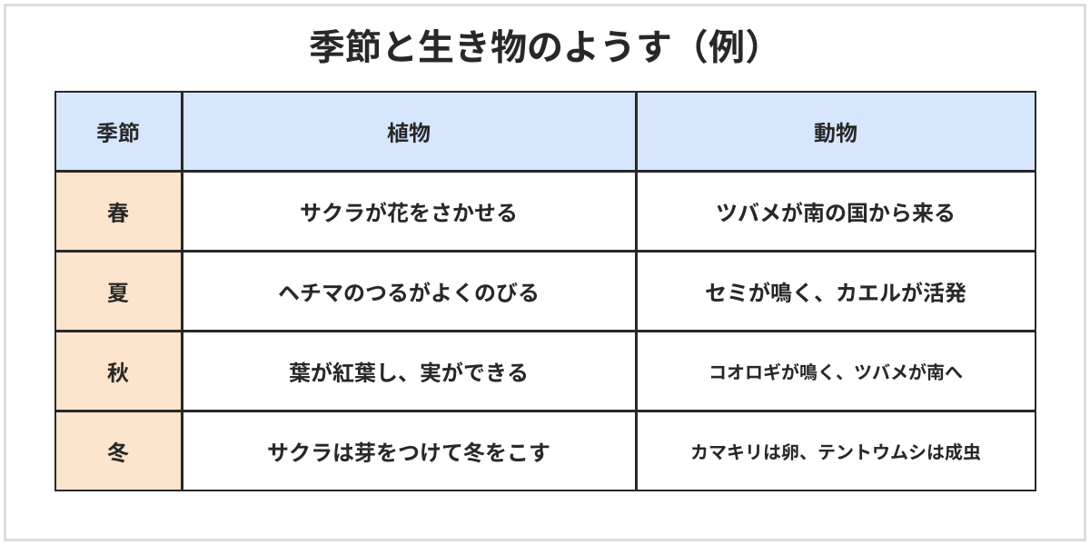 季節と生き物のようすの表（例）。春はサクラが花をさかせ、ツバメが南の国から来る。夏はヘチマのつるがよくのび、セミが鳴き、カエルが活発。秋は葉が紅葉し、実ができ、コオロギが鳴き、ツバメが南へ。冬はサクラは芽をつけて冬をこし、カマキリは卵、テントウムシは成虫で冬をこす