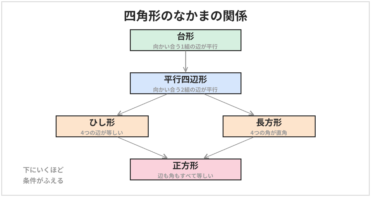 四角形の関係の図。台形は1組の向かい合う辺が平行。平行四辺形は2組の向かい合う辺が平行。平行四辺形のうち、4つの辺が等しいものがひし形、4つの角が直角のものが長方形。ひし形でもあり長方形でもあるものが正方形