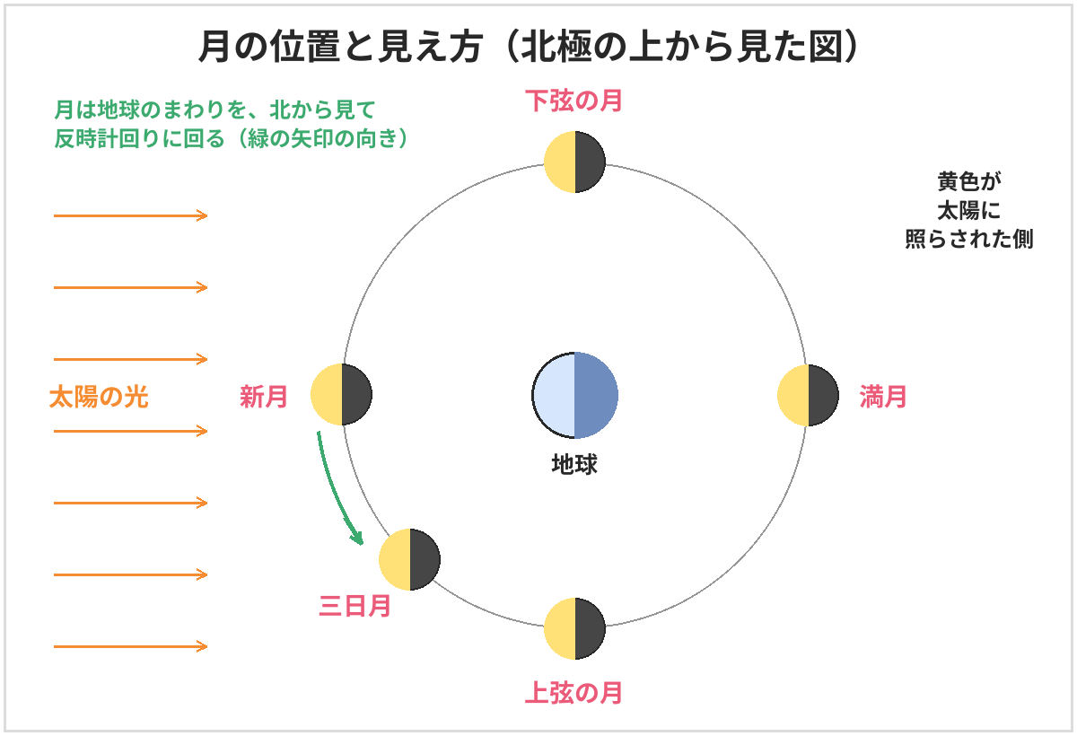 月の位置と見え方の図。北極の上から見て、太陽の光は左から当たる。太陽と同じ側にあるときが新月、反対側が満月。月は反時計回りに回り、新月、三日月、上弦の月、満月、下弦の月の順に位置が変わる